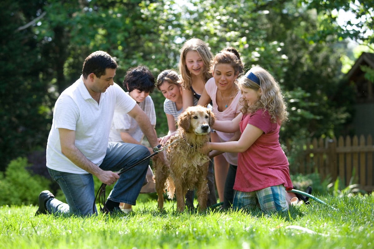 家族と犬の写真