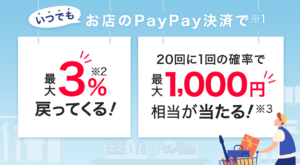 PayPay 3%