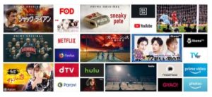 Fire TV Stick 対応サービス